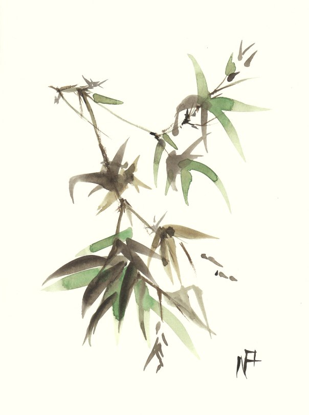 bambou-02